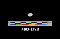 藏品(蛋白石)的圖片